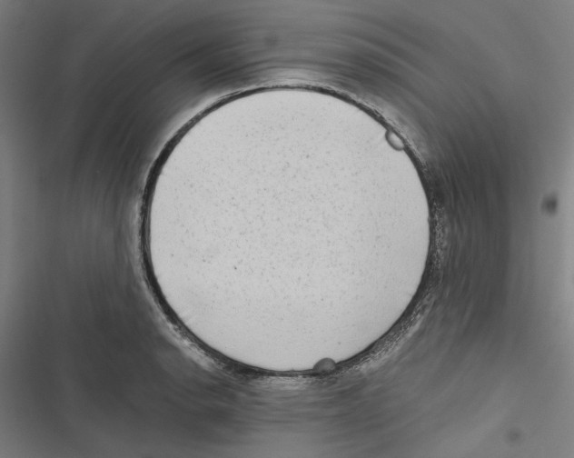 X0000116861134201001191656