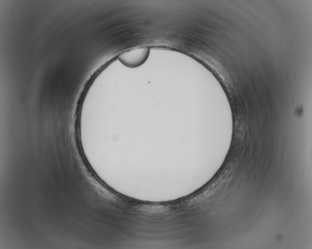 X0000116861135201001191656