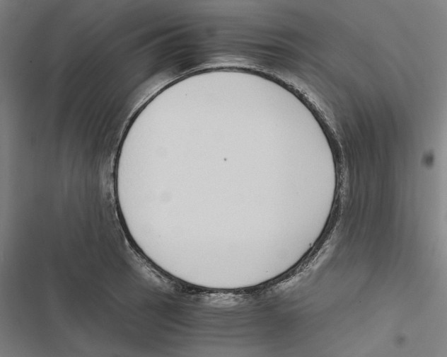 X0000116861137201001191656