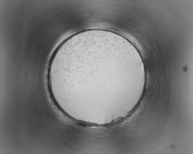 X0000116861138201001191656