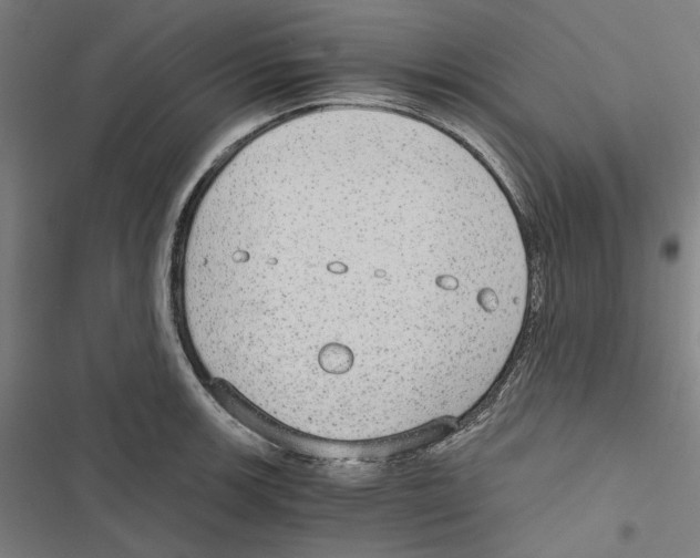 X0000116861139201001191656