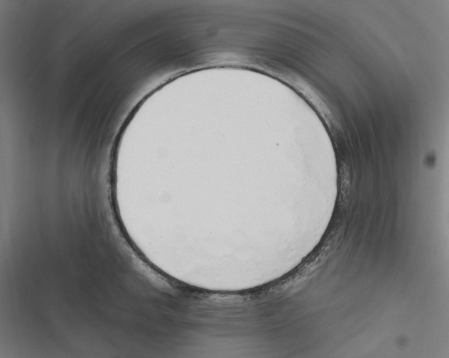 X0000116861142201001191656