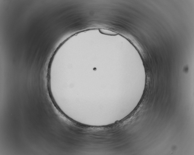 X0000116861143201001191656