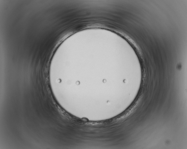 X0000116861145201001191656