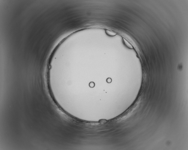 X0000116861149201001191656