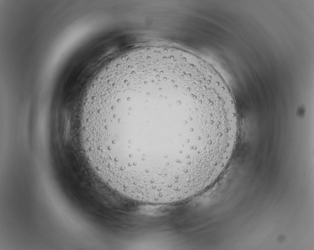 X0000116861150201001191656