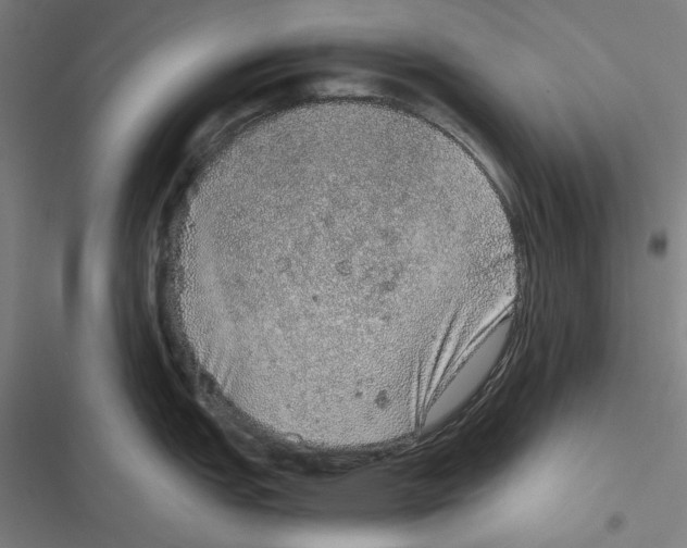 X0000116861151201001191656