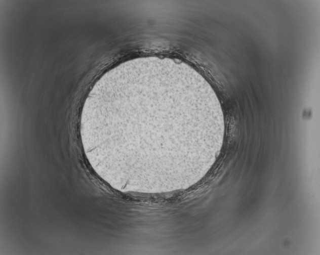 X0000116861153201001191655