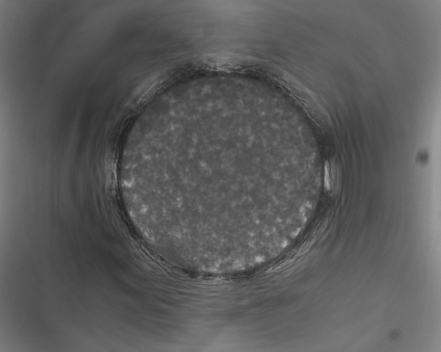 X0000116861155201001191655