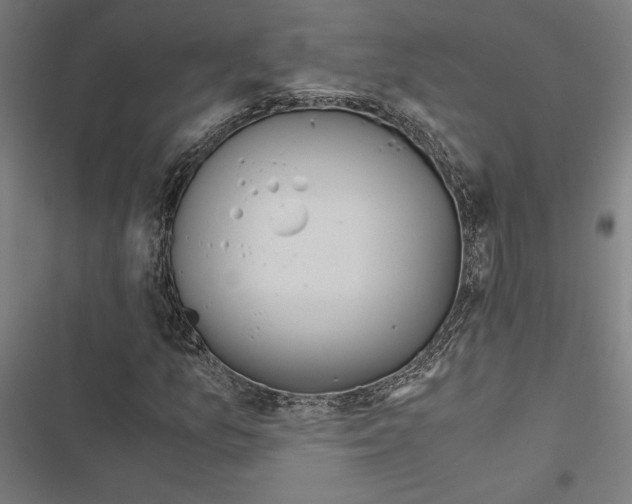 X0000116861157201001191655