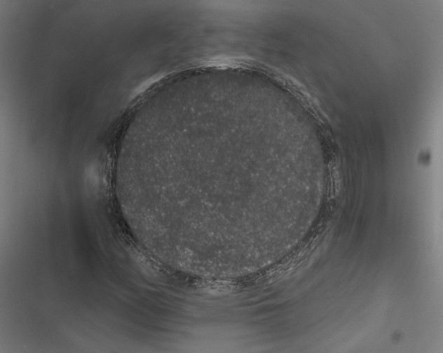 X0000116861158201001191655