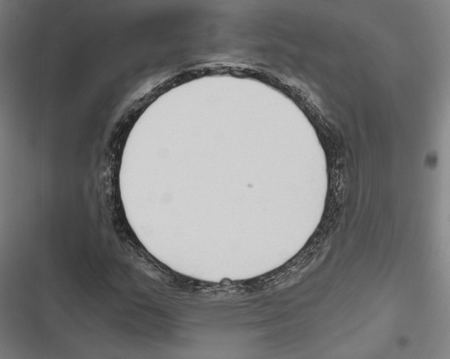 X0000116861159201001191655