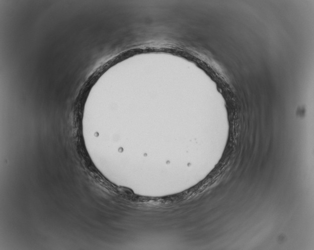 X0000116861160201001191655