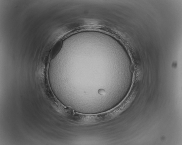 X0000116861161201001191655