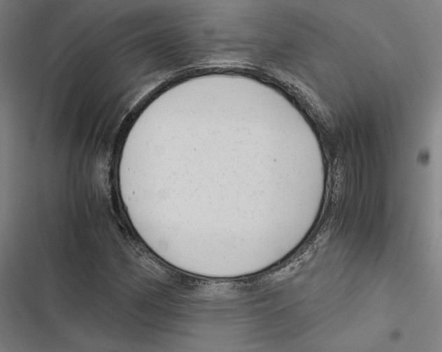 X0000116861162201001191655