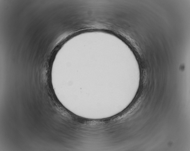 X0000116861163201001191655