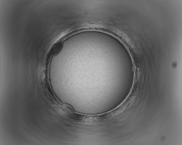 X0000116861165201001191655