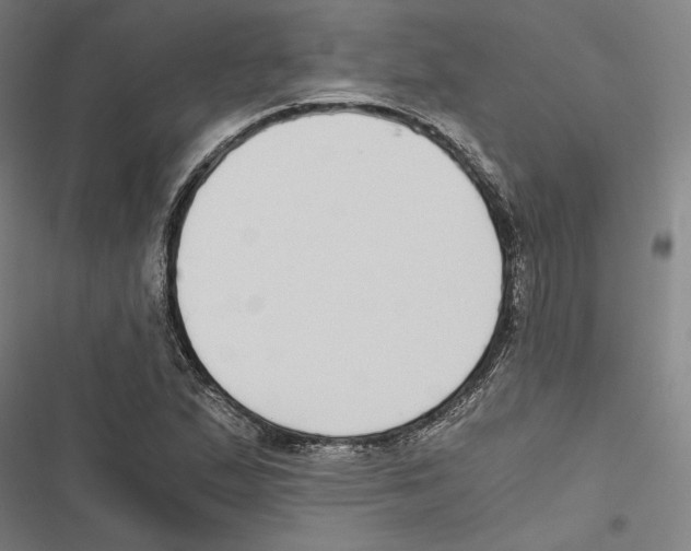 X0000116861167201001191655