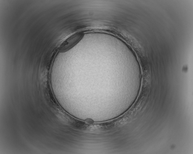 X0000116861169201001191655