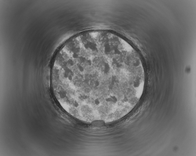 X0000116861171201001191655