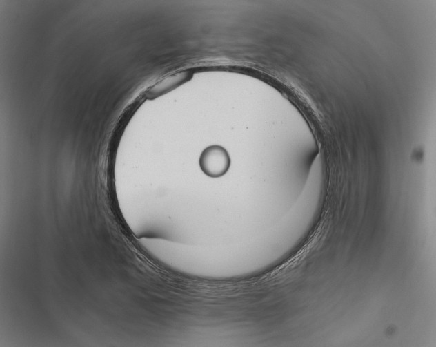 X0000116861173201001191655