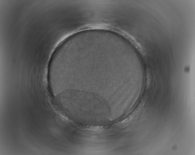 X0000116861174201001191655