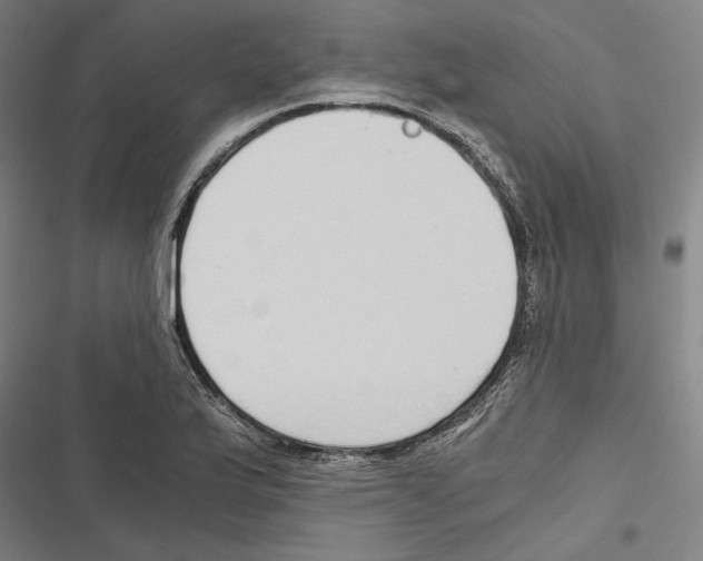 X0000116861175201001191655