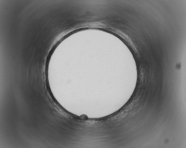 X0000116861176201001191655