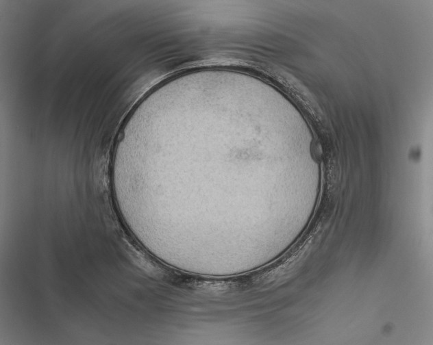 X0000116861177201001191655