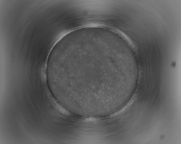 X0000116861178201001191655