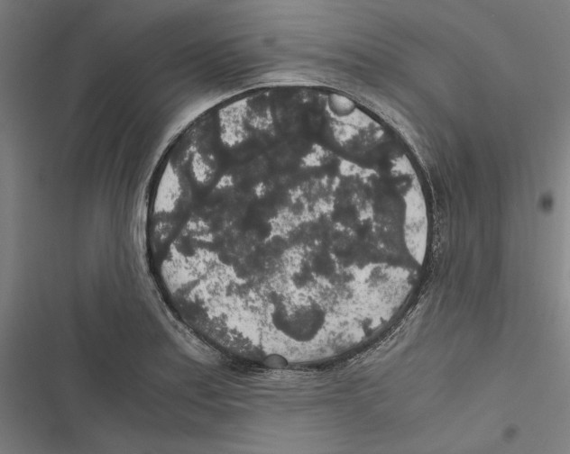 X0000116861179201001191655