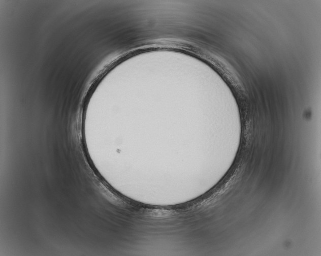 X0000116861180201001191655