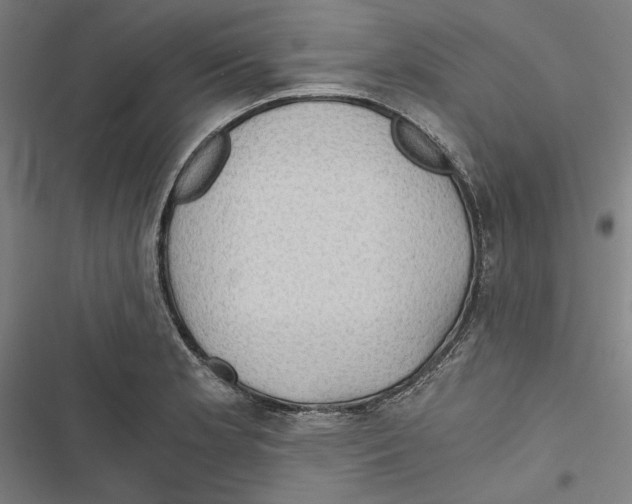 X0000116861181201001191655