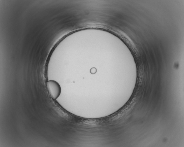 X0000116861182201001191655