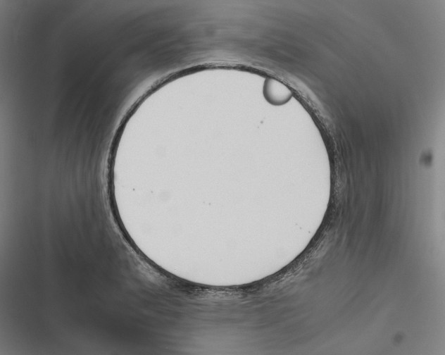 X0000116861183201001191655