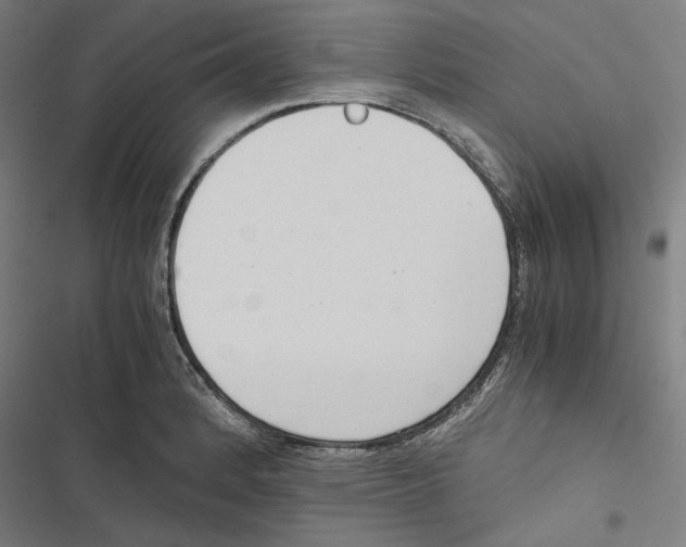 X0000116861184201001191655