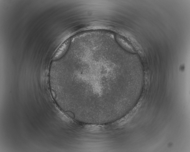 X0000116861185201001191655