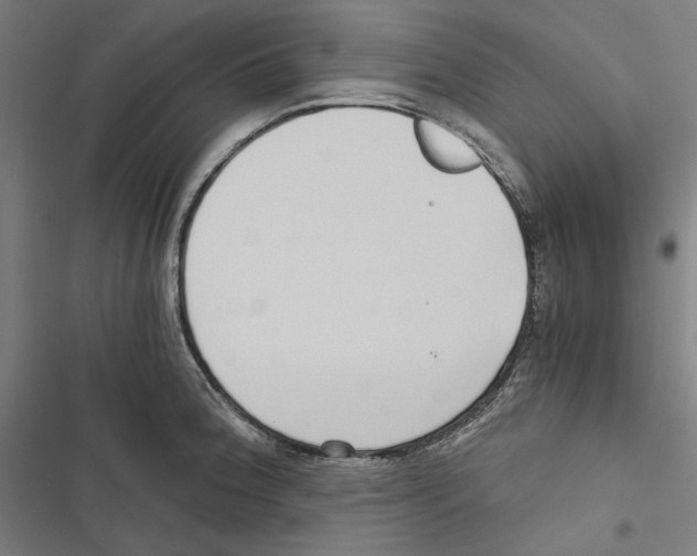 X0000116861188201001191655