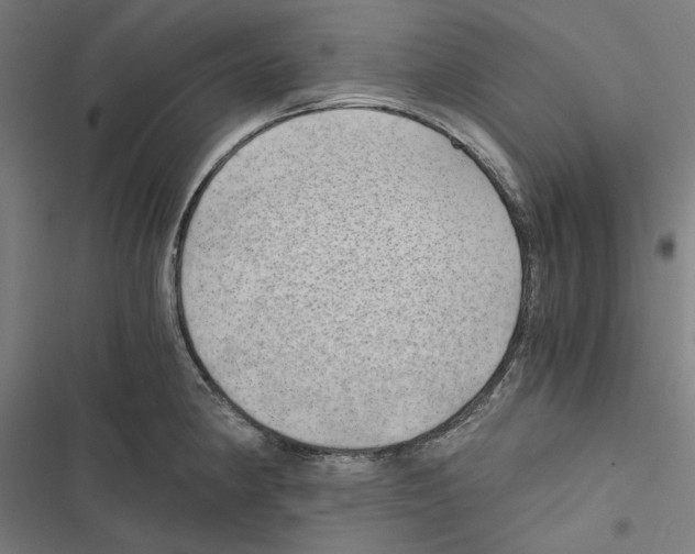 X0000116861190201001191655