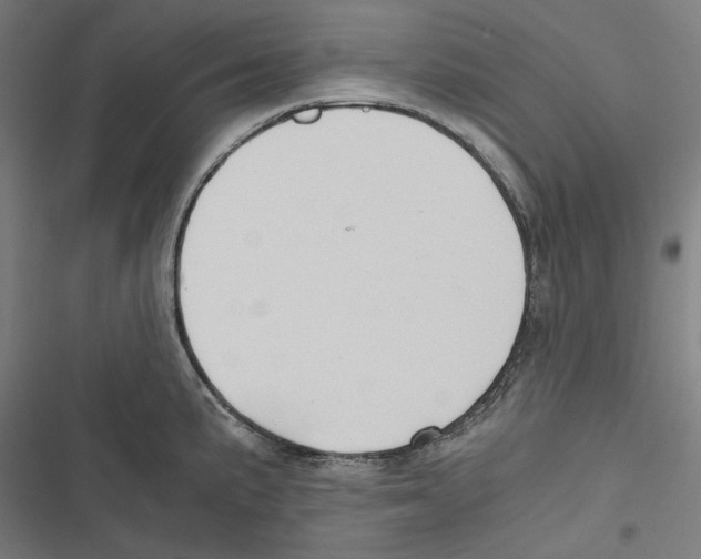 X0000116861191201001191655