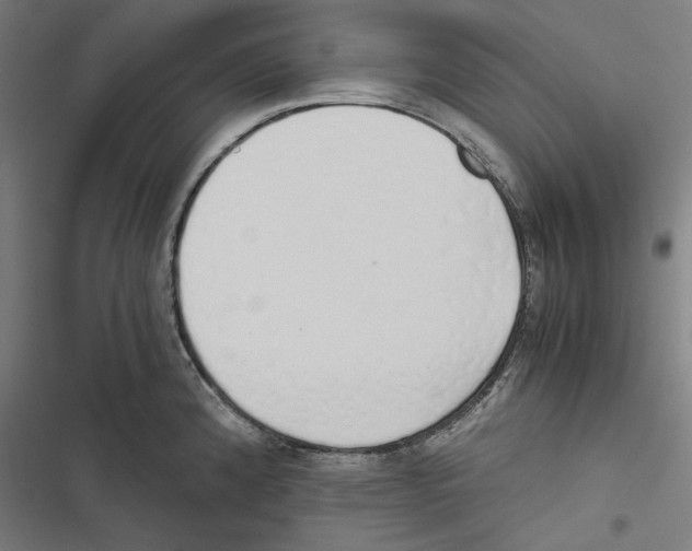 X0000116861192201001191655