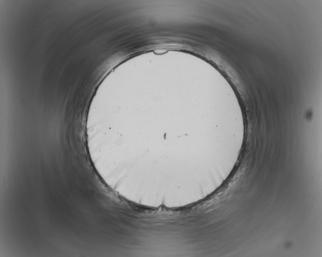 X0000116861193201001191655