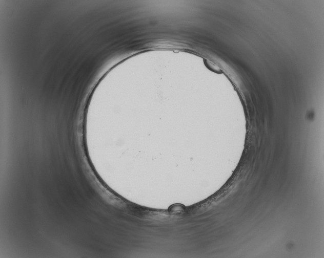 X0000116861195201001191655