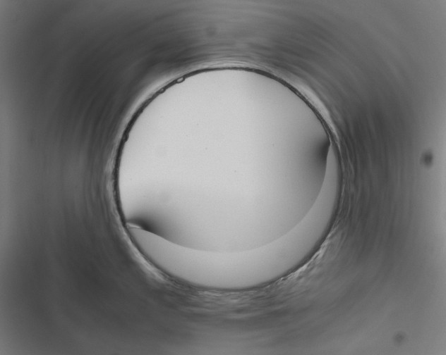 X0000116861197201001191655