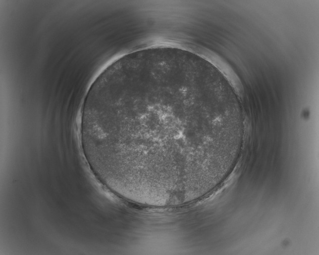 X0000116861198201001191655