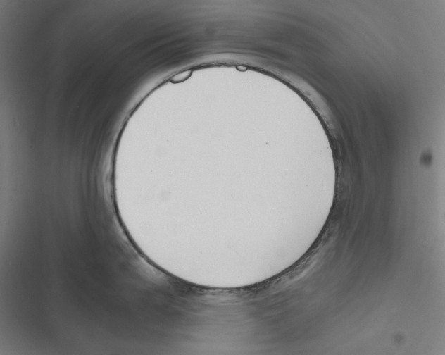 X0000116861199201001191655