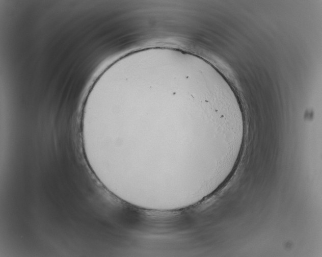 X0000116861200201001191655