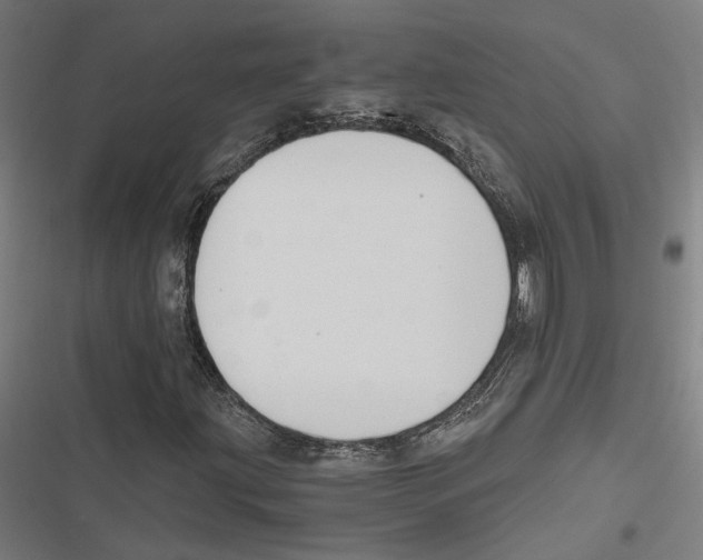 X0000116861203201001191654