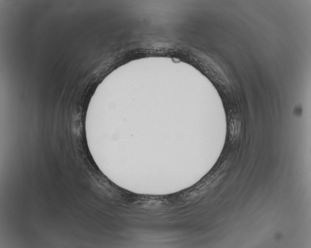 X0000116861204201001191654