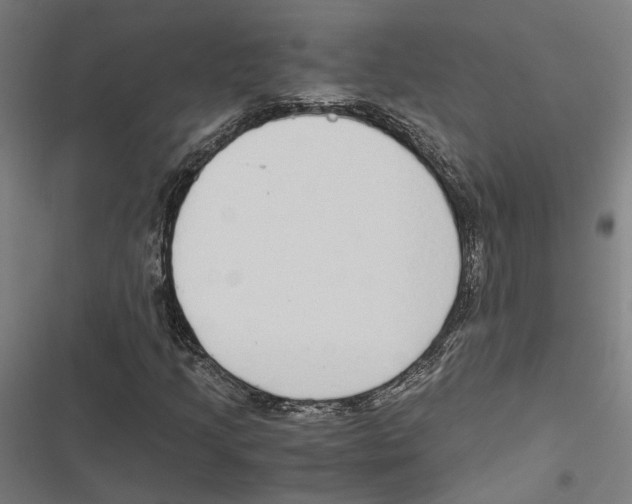 X0000116861205201001191654